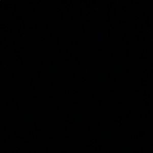 Meet your Posher, Noona